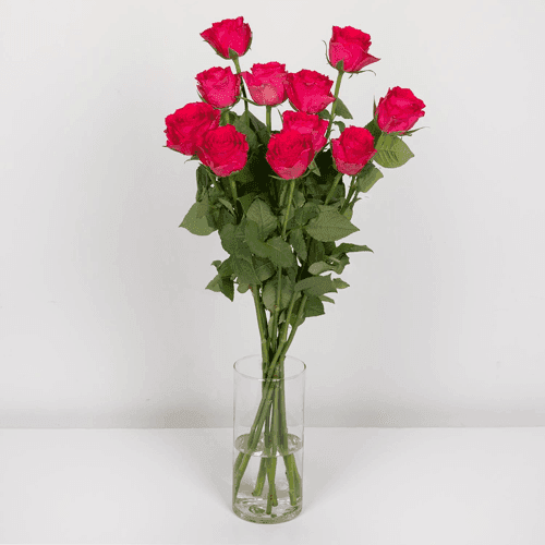 Fairtrade Flowers Bláthanna